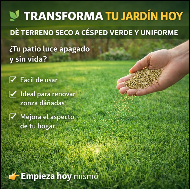 SEMILLA DE CESPED PREMIUM