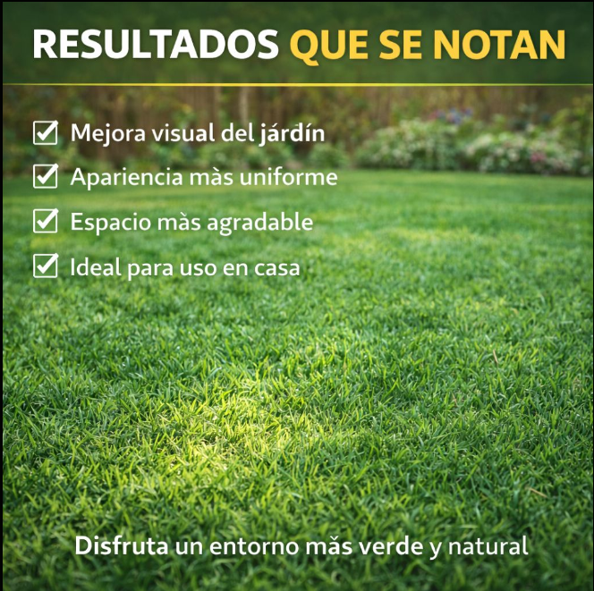 SEMILLA DE CESPED PREMIUM
