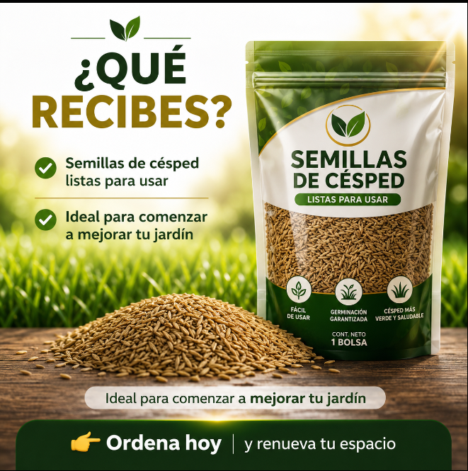 SEMILLA DE CESPED PREMIUM